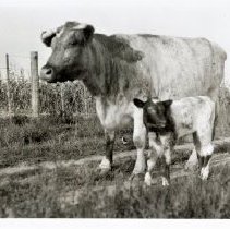 Omc1985.008.197 Image 600dpi